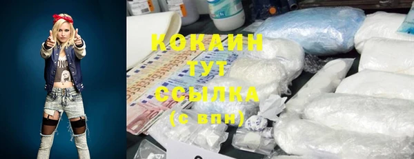 мяу мяу мука Гусь-Хрустальный