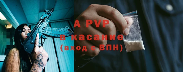 сатива Дмитриев