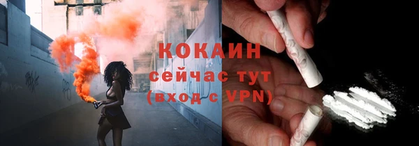 сатива Дмитриев