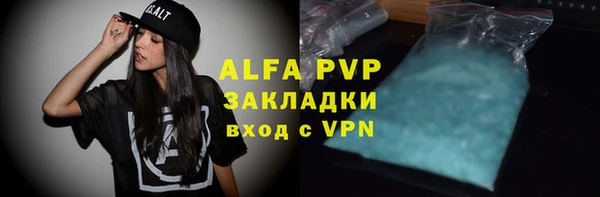 сатива Дмитриев