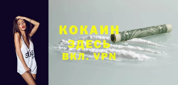 сатива Дмитриев