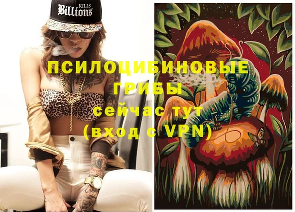 дживик Дмитровск