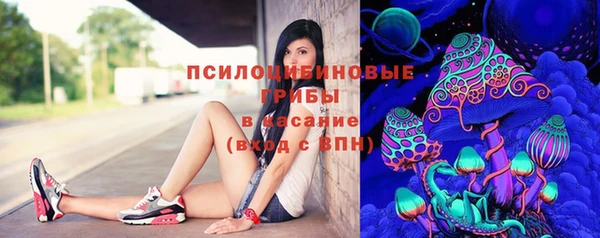 соль курить ск Гусев