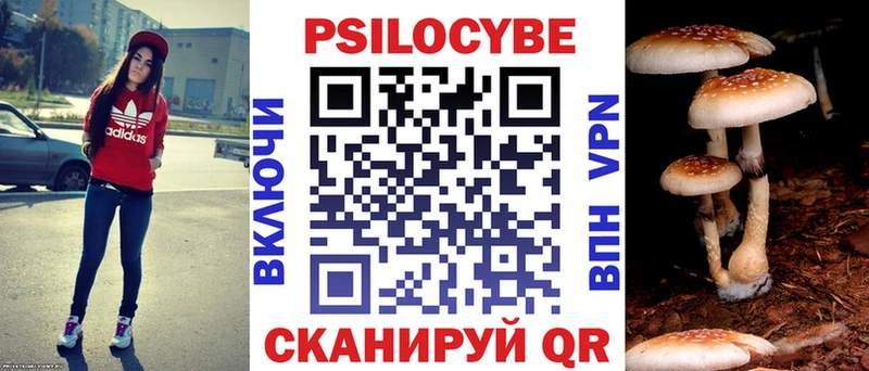 что такое наркотик  Томмот  Псилоцибиновые грибы Cubensis 